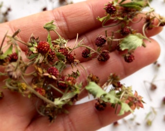 Tiny wild strawberry for resin