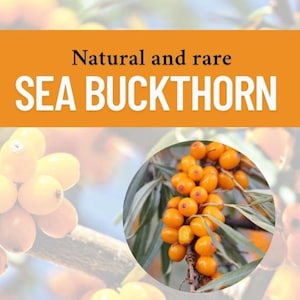 Wild Finnish Sea Buckthorn Berries