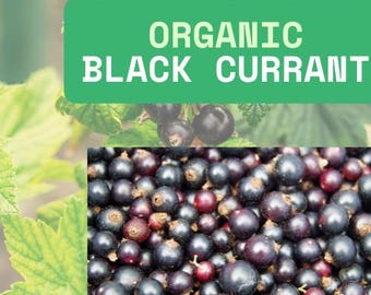 Natural Black Currant Powder