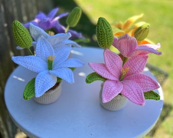 Crochet Flowers in Pot, Handmade flowers for Home Room Office Car Decoration, Mother's day gift, Gift for her