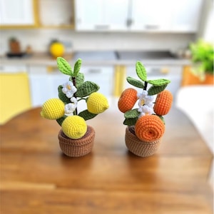 May include: Two crochet potted plants, one with yellow lemons and the other with orange oranges. Each plant has green leaves, white flowers, and a brown woven pot. The plants are on a wooden table.
