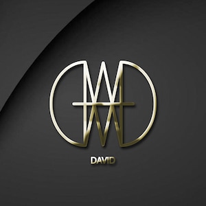 Custom Logo / 3D Logo / Digital Logo / Social Media Emblem / Name Logo / Gold, Metallic, Rose Gold / Digital File