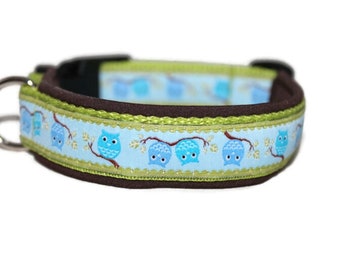 Dog collar Eulalia Brown - padded - optional with leash - different widths