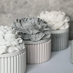 Puede incluir: Tres contenedores de hormigón decorativos con diseños florales. Los contenedores son en tonos de gris y blanco. Los contenedores tienen una textura acanalada.