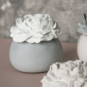 Pode incluir: Dois vasos de flores de concreto cinza com topos de flores de cerâmica branca. Os vasos estão sobre uma superfície rosa.