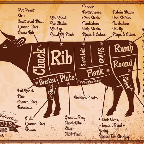 Nostalgia sign beef cuts cow beef diagram 12x18 / 20x30 / 30x40 sheet metal or wood