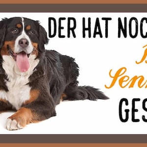 Op de afbeelding: Een bruine en zwarte Berner Sennenhond ligt met zijn tong naar buiten. De hond ligt voor een wit bord met de tekst "WER SAGT, Glück KANN MAN NICHT ANFASSEN, DER HAT NOCH NIE MEINEN Berner Sennenhund GESTREICHELT!" in zwart en groene tekst.