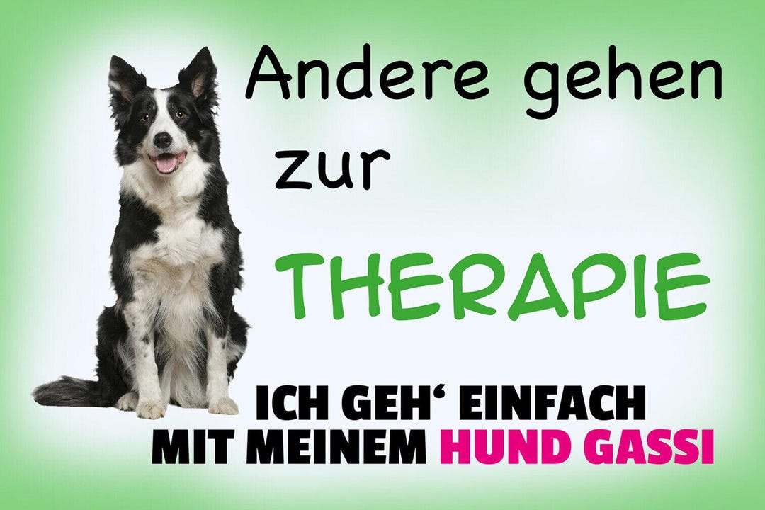 Andere Gehen Zur Therapie Ich Muss Nur Stricken Schild spruch andere gehen zur therapie ich geh mit hund gassi jw - Etsy.de