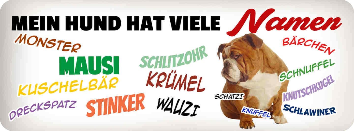 Sign my dog has many names nickname monster wauzi 27 x 10 sheet metal or wood