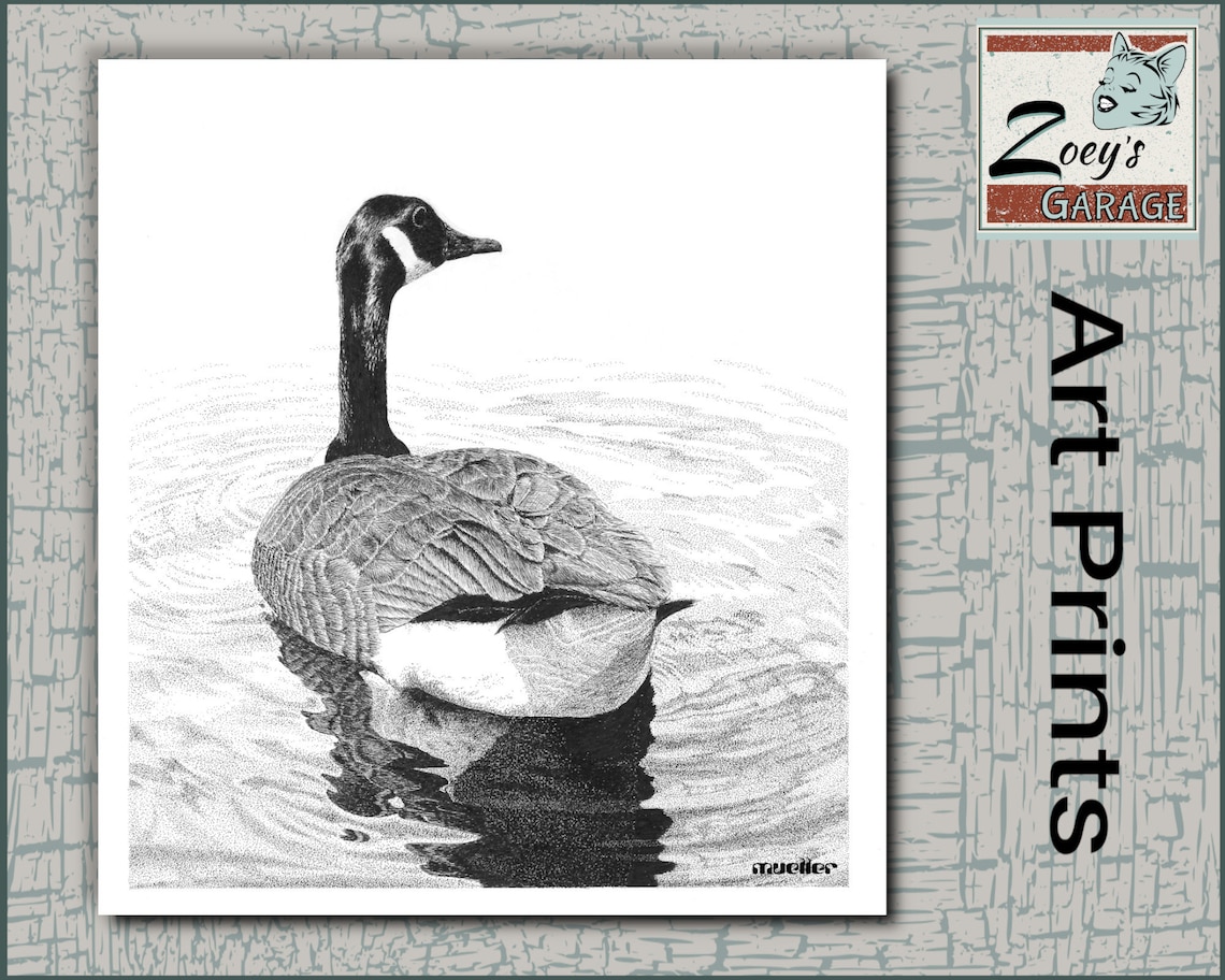Canada Goose Pen and Ink Drawing Wall Art 8.5 X Etsy