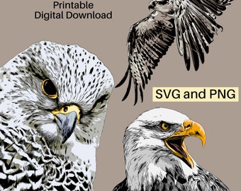 Birds of Prey Collection - SVG bundle including eagles, hawks, ospreys, owls and falcons. SVG and PNG