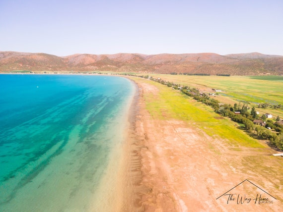 Are Dogs Allowed On Bear Lake Beaches