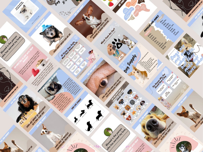 50 Dog Instagram Post Templates Canva Template pet Lovers Etsy