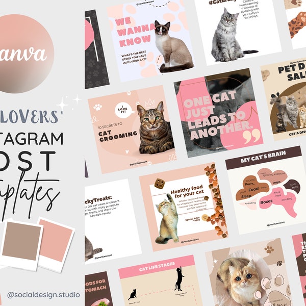 50 Cat Instagram Post Templates | Fully Editable in Canva |Engagement booster for Pet lovers Bloggers, Influencers, Pet Businesses, Vets