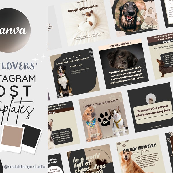 100 hondenliefhebbers Instagram Post Canva-sjablonen | Engagement Booster voor hondenbeïnvloeder, hondenkateigenaar, blogger, dierenwinkel, dierenarts, dierenoppas