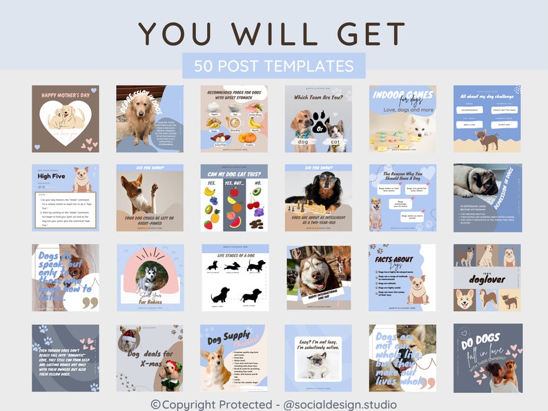 50 Dog Instagram Post Templates Canva Template pet Lovers Etsy