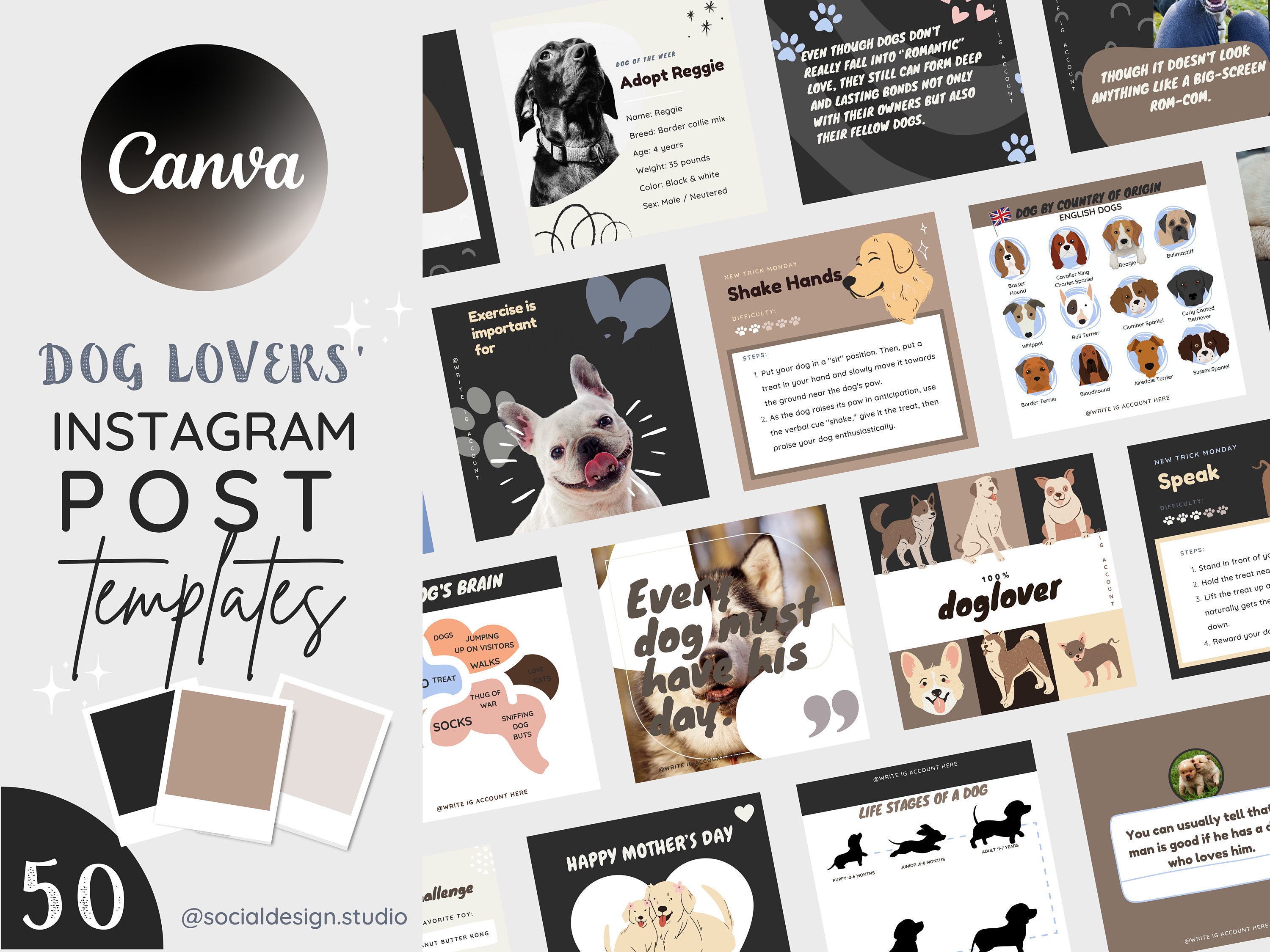 For Instagram Post Clipart Transparent Background, Dark Mood Instagram Post  Frame Viral Photo Editing Png, Instagram, Frame, Border PNG Image For Free  Download