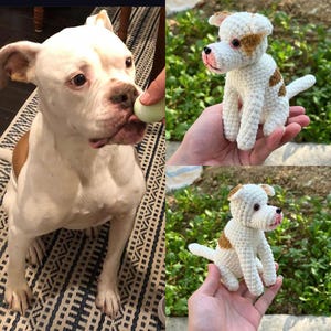 Virkad hund från foto – Personlig replika av husdjur – Amigurumi-hundminnessak – Minnesgåva till hundälskare