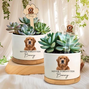 Op de afbeelding: Twee witte keramische plantenbakken met vetplanten, elk met een Golden Retriever-portret en de tekst "NEVER FORGOTTEN Bonny". Eén plantenbak heeft een houten wolk-vormige paal met dezelfde hondenafbeelding en tekst.