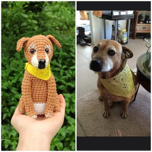 Custom Stuffed Dog, Funny Custom Dog Plush, Custom Crochet Dog, Custom Stuffed Animal, Personalized Pet Gift,Pet Memorial,Pet Stuffed Animal