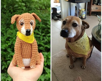 Custom Stuffed Dog, Funny Custom Dog Plush, Custom Crochet Dog, Custom Stuffed Animal, Personalized Pet Gift,Pet Memorial,Pet Stuffed Animal