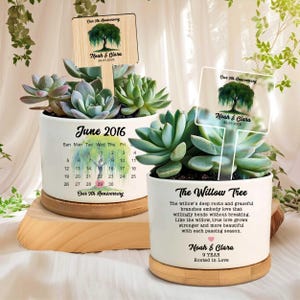 May include: Two white ceramic planters with succulents, each on a wooden base. One planter has a calendar for June 2016 and a wooden sign that reads "Our 9th Anniversary". The other planter has a clear sign with the text "The Willow Tree".
