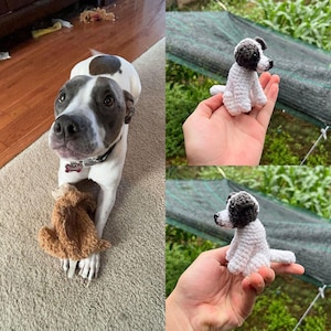 May include: A white and gray dog with a brown stuffed animal toy. A crocheted white and gray dog figurine is held in a hand. The dog figurine has a black nose and ears.