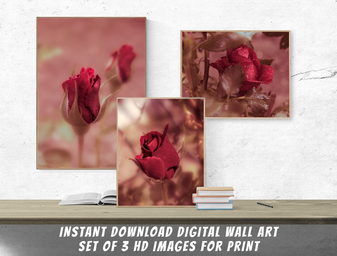 Printable Red Roses Wall Art Set of 3 HD 300dpi Instant - Etsy