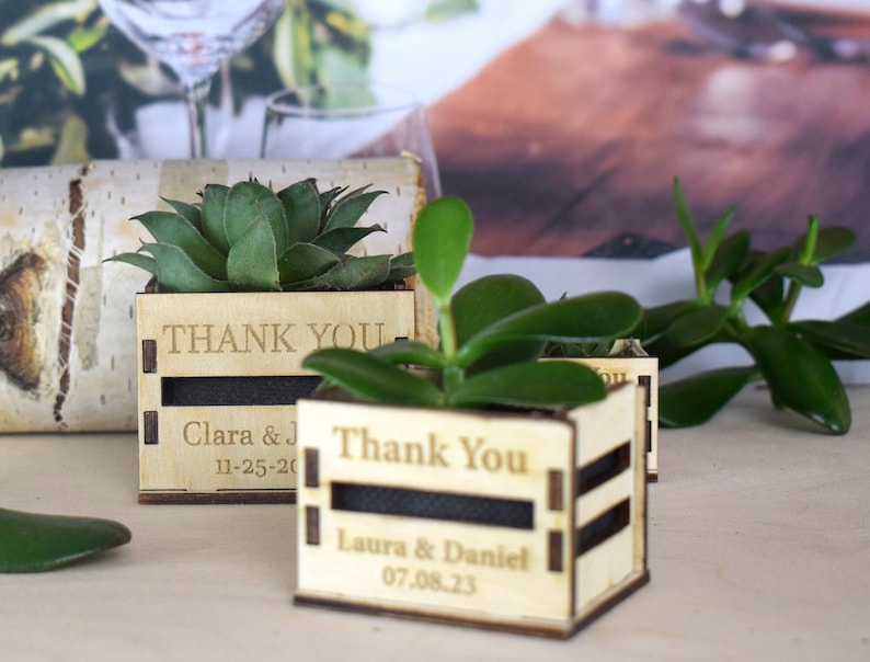 Personalized Mini pot for succulent, rustic wedding favors, wooden casing for succulents, wooden mini box for succulents, thank you favors image 1