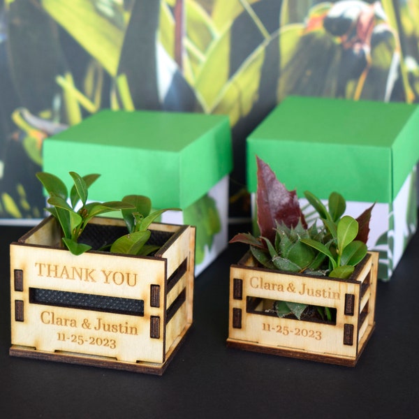 Personalized Mini pot for small plantst, wedding favors, wooden casing for succulents, wooden mini box for succulents, thank you favors