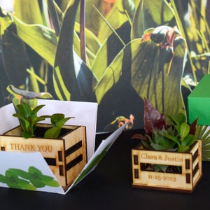 Personalized Mini pot for succulent, rustic wedding favors, wooden casing for succulents, wooden mini box for succulents, thank you favors image 8