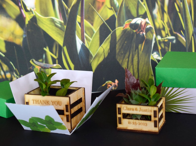Personalized Mini pot for succulent, rustic wedding favors, wooden casing for succulents, wooden mini box for succulents, thank you favors image 8