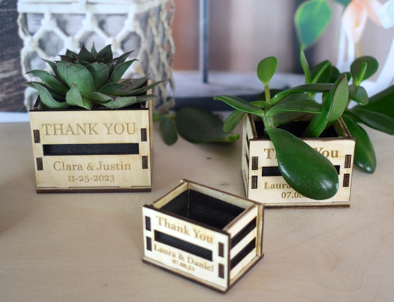 Personalized Mini pot for succulent, rustic wedding favors, wooden casing for succulents, wooden mini box for succulents, thank you favors image 4