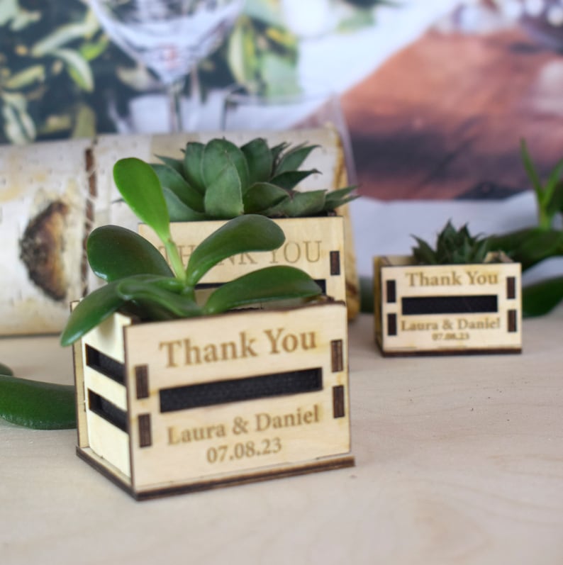 Personalized Mini pot for succulent, rustic wedding favors, wooden casing for succulents, wooden mini box for succulents, thank you favors image 6