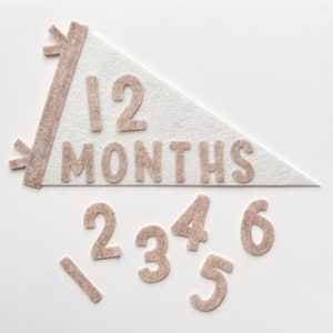 Baby Milestone Bunting Flag Photo Prop | Baby’s First Year | Felt Bunting Flag | Nursery Decor | Baby Shower Gift | Newborn Gift