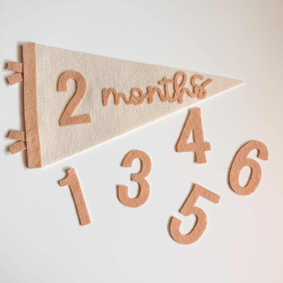 Baby Milestone Bunting Flag Photo Prop Babys First Year Felt Bunting
