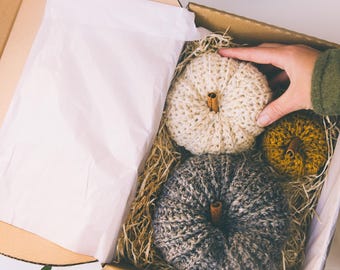 SMALL Autumn decor crochet pumpkin home decor table centerpiece halloween decor fall home decor