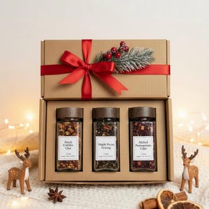 Holiday Tea Gift Set Sampler | Christmas Loose Leaf Tea Variety Box | Stocking Stuffer Tea Gift | Winter Warmth Tea Collection |Gift for Tea