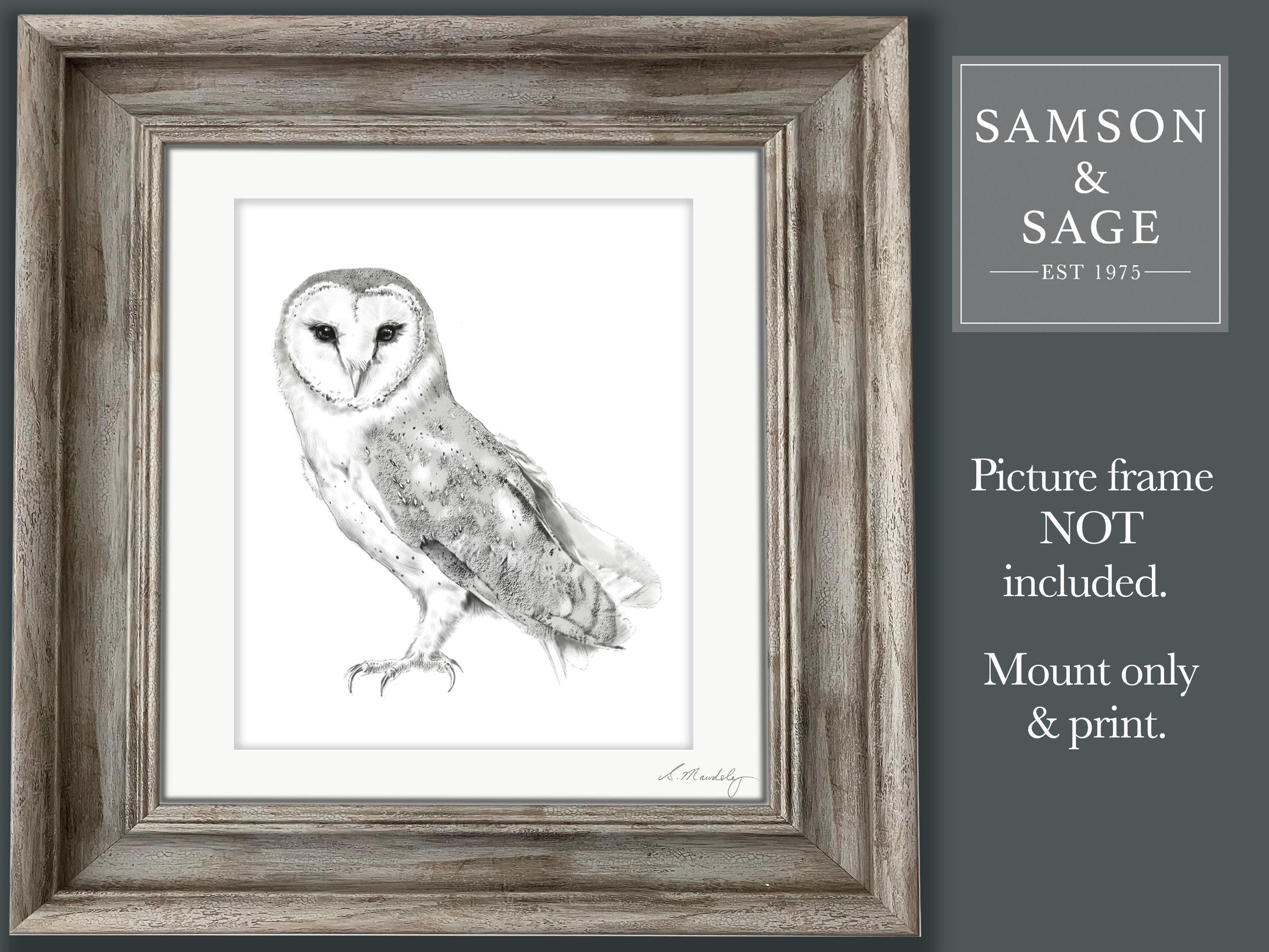 Barn Owl Drawing Barn Owl Mounted Print Wall Picture Owl Wall Art British Wildlife Owl Gift Country 