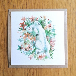 Carte postale chat dans les fleurs