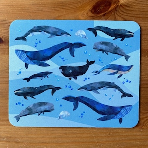 Walvis-muismat: cadeau mariene biologie, accessoire oceaanliefhebber