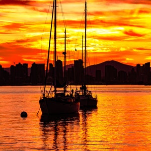 Sunrise San Diego sailboats, vertical, pretty wall decor, digital art