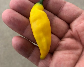 Aji Pineapple pepper seeds (2021)