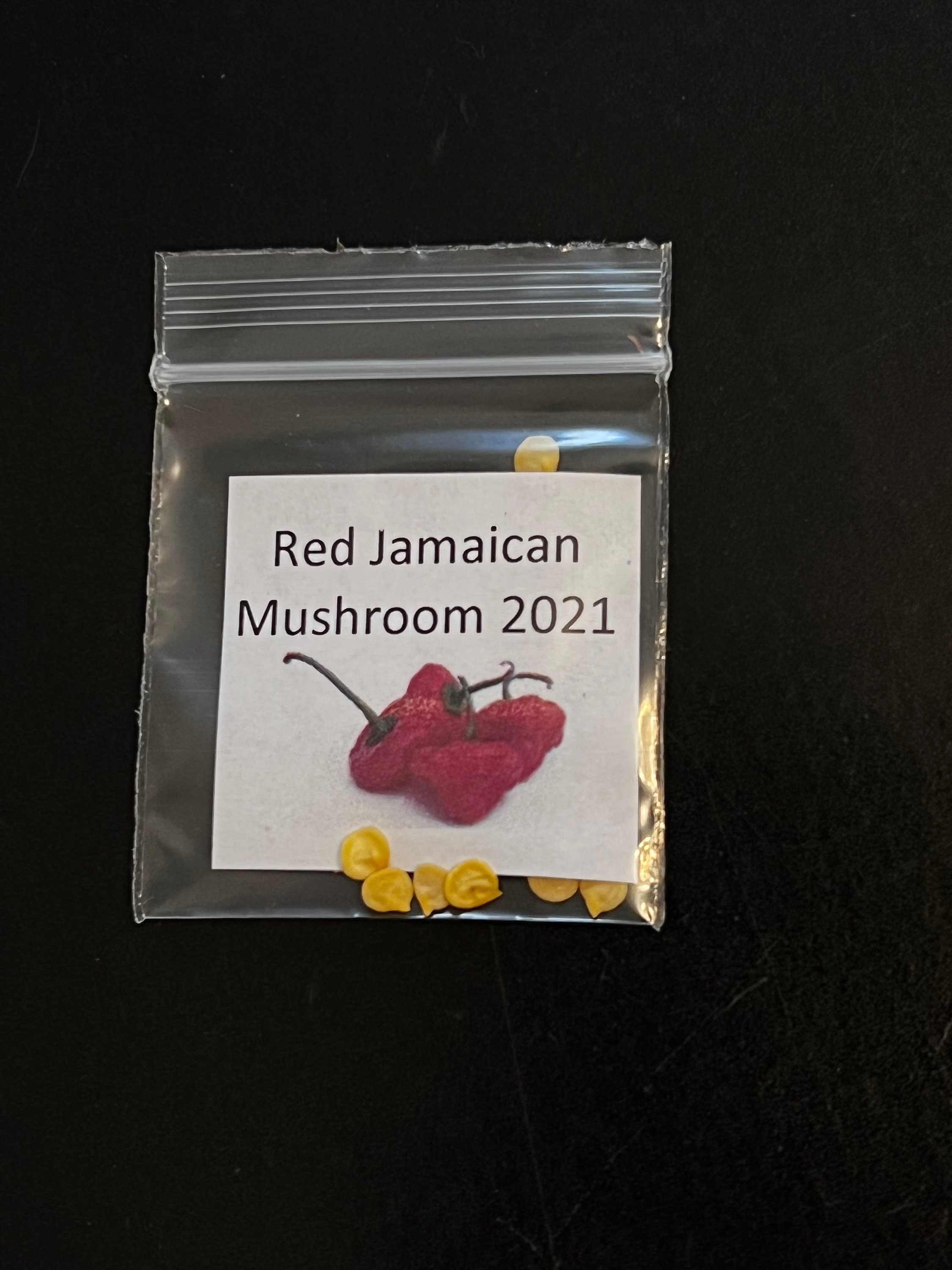 Red Jamaican Mushroom Pepper Seeds 2021 Etsy