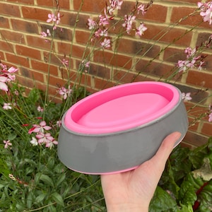 May include: A pink and grey pet food bowl with a raised rim. The bowl is made of silicone and is designed to be non-slip.