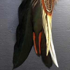 Longue boucle d'oreille unique, plumes naturelles, plume de paon, mono boucle pour homme ou femme, boucle d'oreilles plumes bohème ethnique image 4