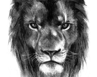 Dessin fusain animal totem Lion