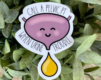 Pelvic Health Urinary System Vinyl Sticker, Water Resistant Water Bottle Sticker, Pelvic Health Gift for PT, Urinary Incontinence Decal