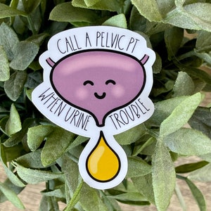 Pelvic Health Urinary System Vinyl Sticker, Water Resistant Water Bottle Sticker, Pelvic Health Gift for PT, Urinary Incontinence Decal