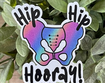 Hip Hip Hooray Pelvic Vinyl Sticker, Water Resistant Water Bottle Sticker, Physical Therapy Gift for PT, Funny Anatomy Gift for Her